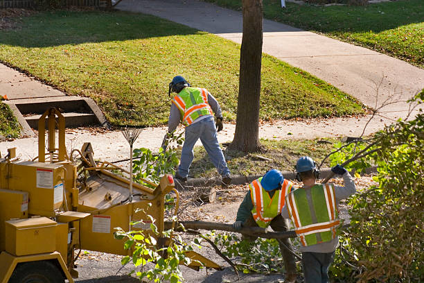 Best Utility Line Clearance  in Grandview, WA